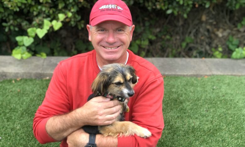Angel's Five-star Pet Care, franchise services animaliers
