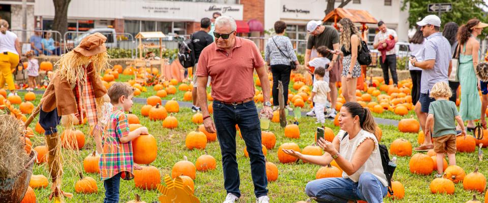 Coral Gables Pumpkin Patch