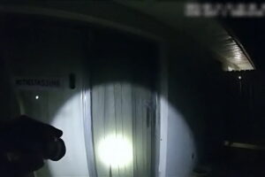 The Perfect Neighbor (documentaire)