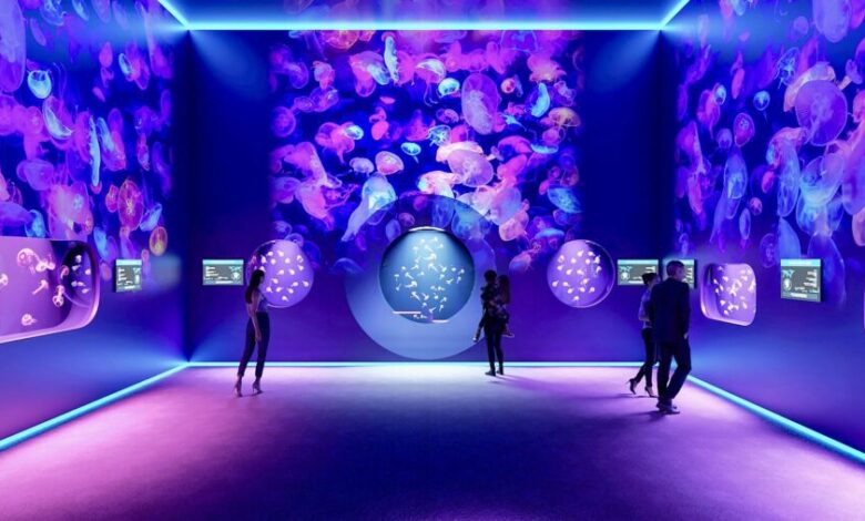 Jellyfish Museum