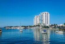 A body of water with a bunch of boats in it
