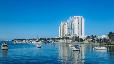 A body of water with a bunch of boats in it
