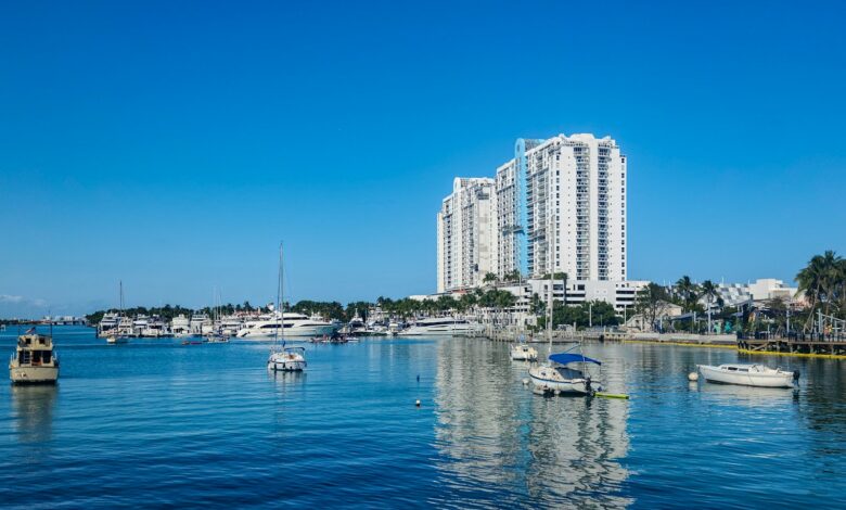 A body of water with a bunch of boats in it