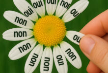 ♫ Should I stay OR should I go ♫ : la chronique de Nathalie Lefebvre sur la Floride !