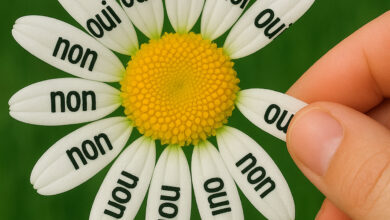 ♫ Should I stay OR should I go ♫ : la chronique de Nathalie Lefebvre sur la Floride !