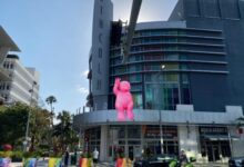 Philippe Katerine fait s’envoler « Monsieur Rose » à Miami Beach