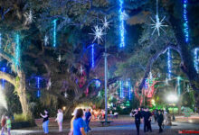 Notre Vidéo et photos des décorations de Noël "Winter Wonderland" aux Flamingo Gardens de Davie, en Floride