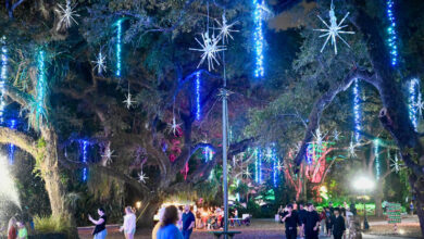Notre Vidéo et photos des décorations de Noël "Winter Wonderland" aux Flamingo Gardens de Davie, en Floride