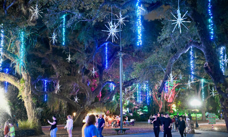 Notre Vidéo et photos des décorations de Noël "Winter Wonderland" aux Flamingo Gardens de Davie, en Floride