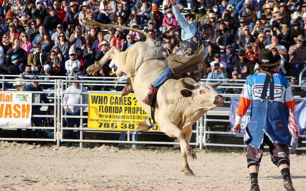 Homestead Championship Rodeo Floride
