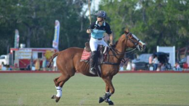 Découvrir la saison hivernale de polo à Wellington (dans le comté de Palm Beach en Floride)