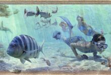 Christopher Still : Chroniqueur pictural de la Floride