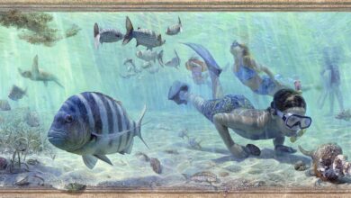 Christopher Still : Chroniqueur pictural de la Floride