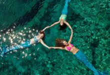 Apprenez à devenir une sirène lors d’un camp en Floride