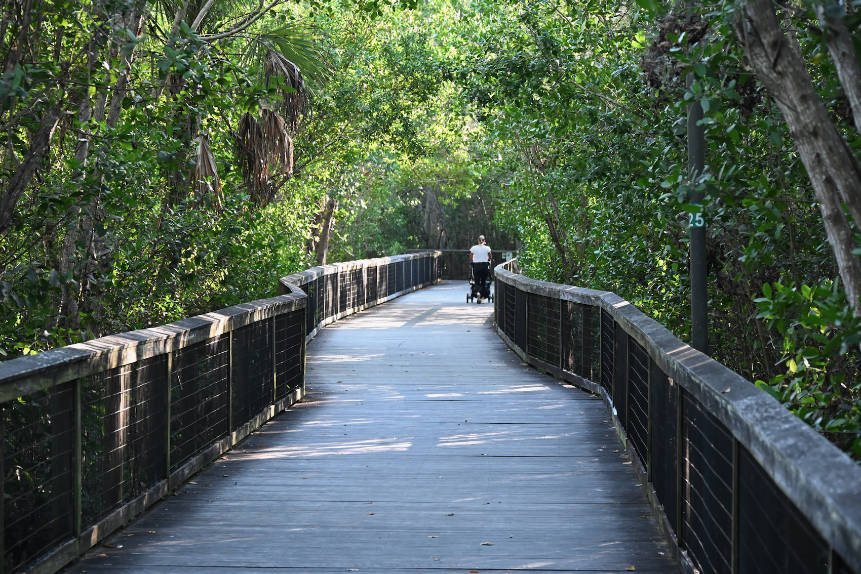 Systèmes de passerelles dans la mangrove au nord