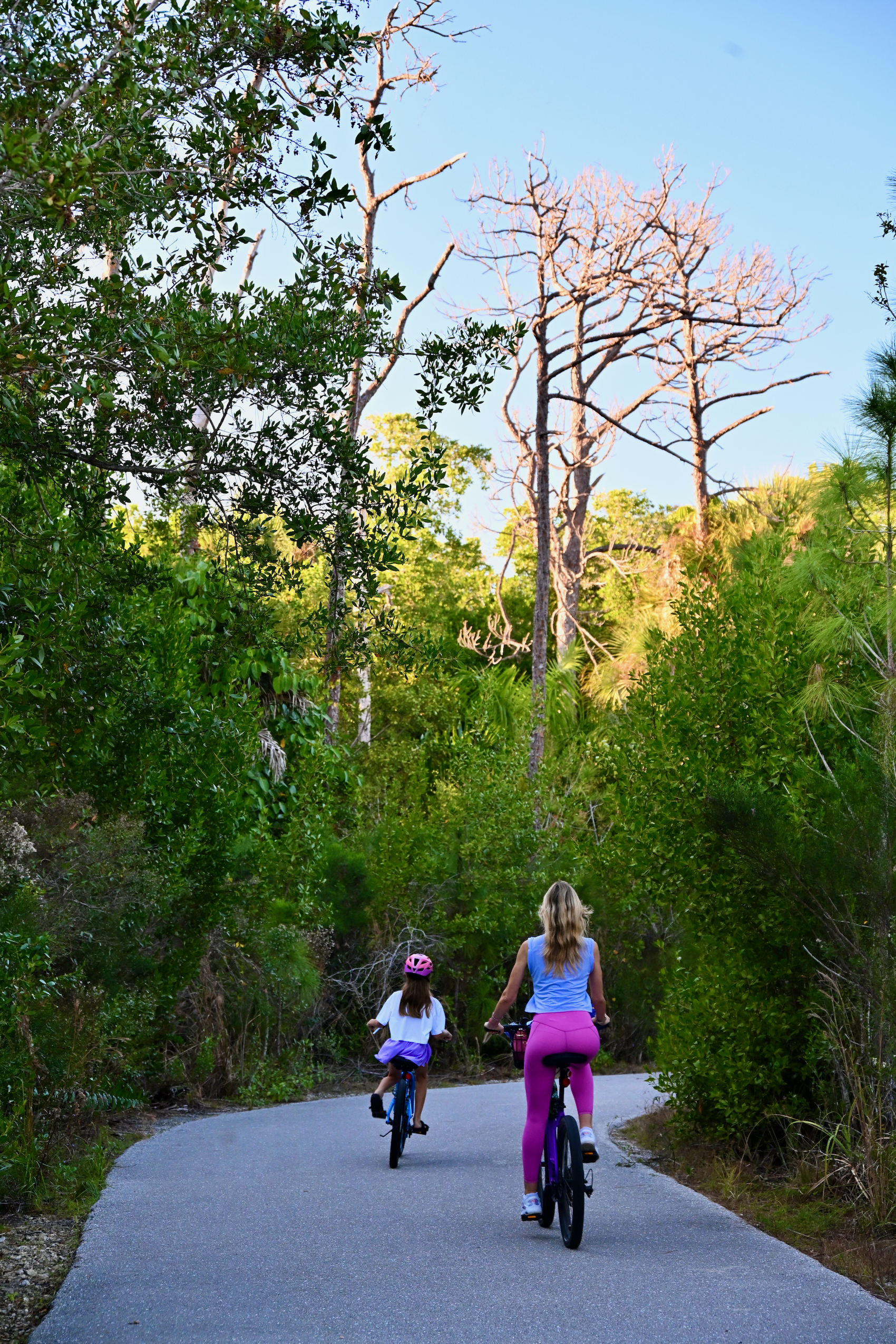 Les routes sont parfaitement praticables pour les familles
