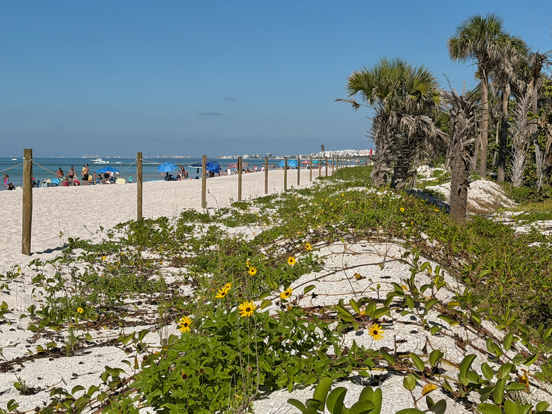 La dune artificielle séparant la plage du parking