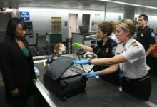 Entrée aux États-Unis : les réseaux sociaux désormais obligatoires dans la demande ESTA