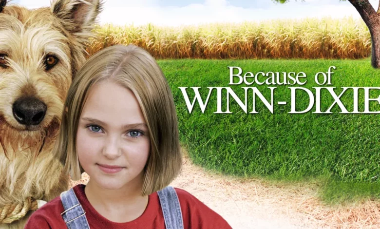Because of Winn‑Dixie — un livre et un film qui font découvrir la Floride aux enfants (en français et en anglais)
