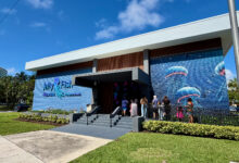 Jellyfish Museum de Pompano Beach : plongez au milieu des méduses (sans vous mouiller !)
