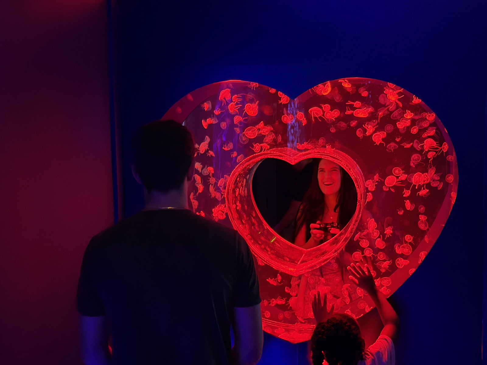 Jellyfish Museum de Pompano Beach : plongez au milieu des méduses (sans vous mouiller !)