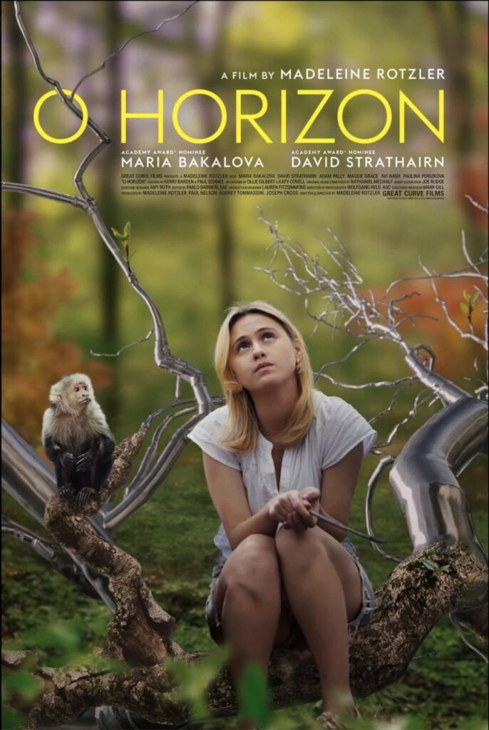 Affiche film O Horizon