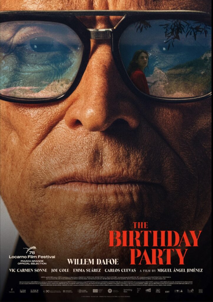 Affiche film the Birthday Party