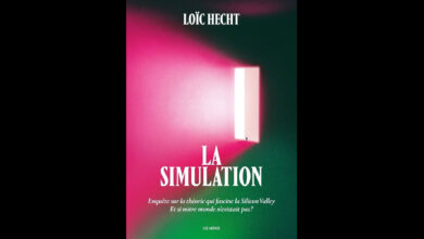"La Simulation" de Loïc Hecht : et si notre réalité n'était qu'un jeu vidéo ?