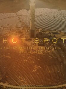 Affiche film Hot Spot