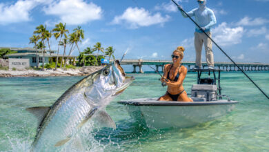 Pêche au tarpon : le grand frisson des côtes de Floride