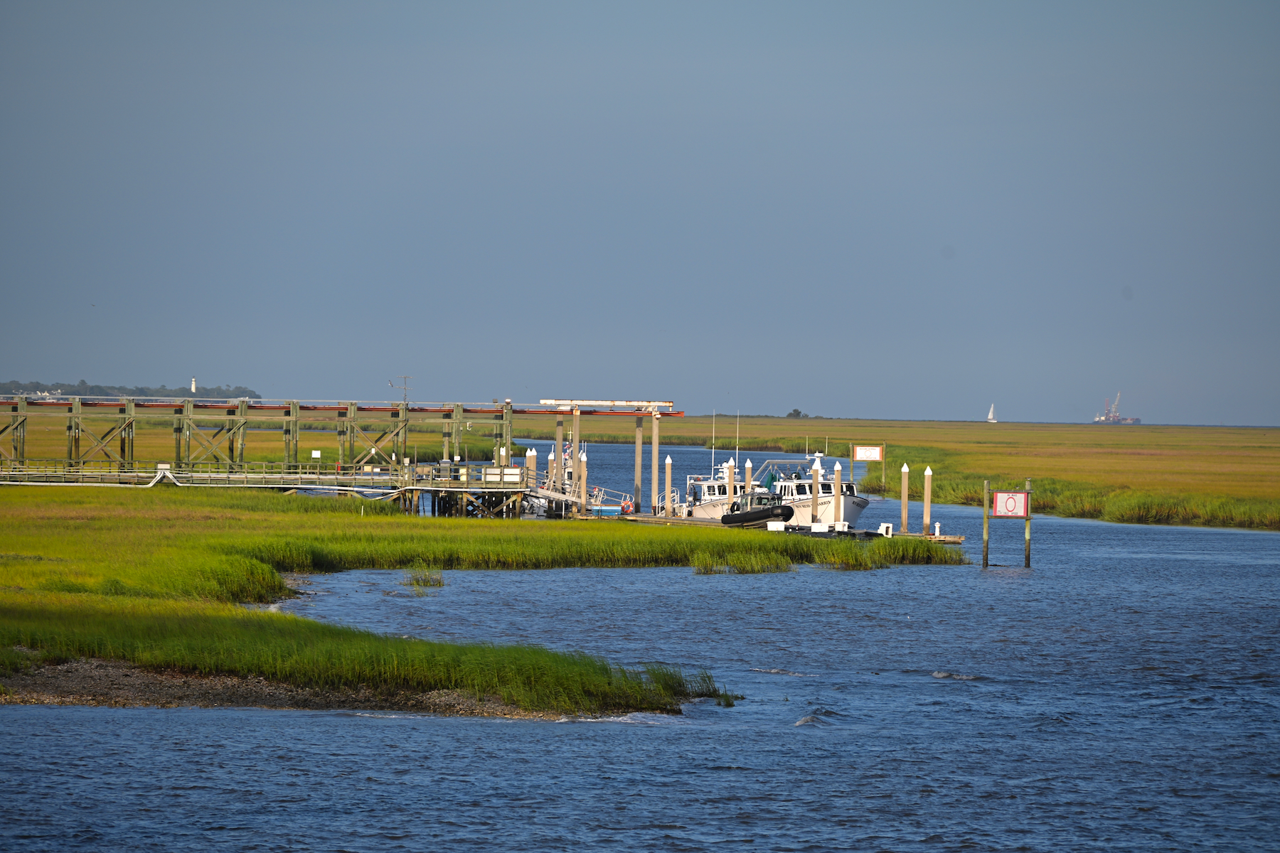 Vue sur les marais près du Lanier Bridge de Brunswick