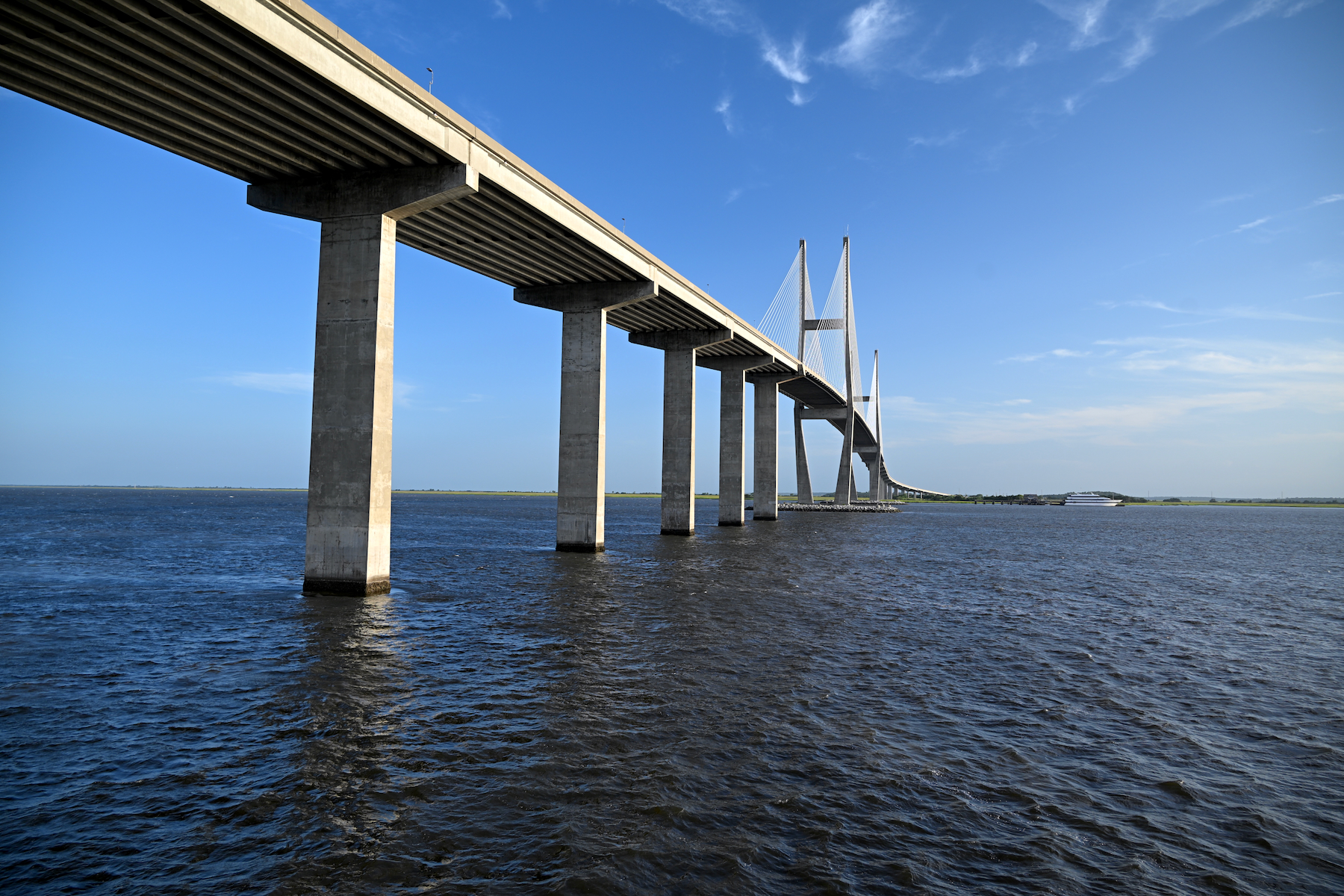 Le Lanier Bridge de Brunswick n'est pas ce qu'il y a de plus naturel... mais il permet de contempler un paysage de marais à couper le souffle