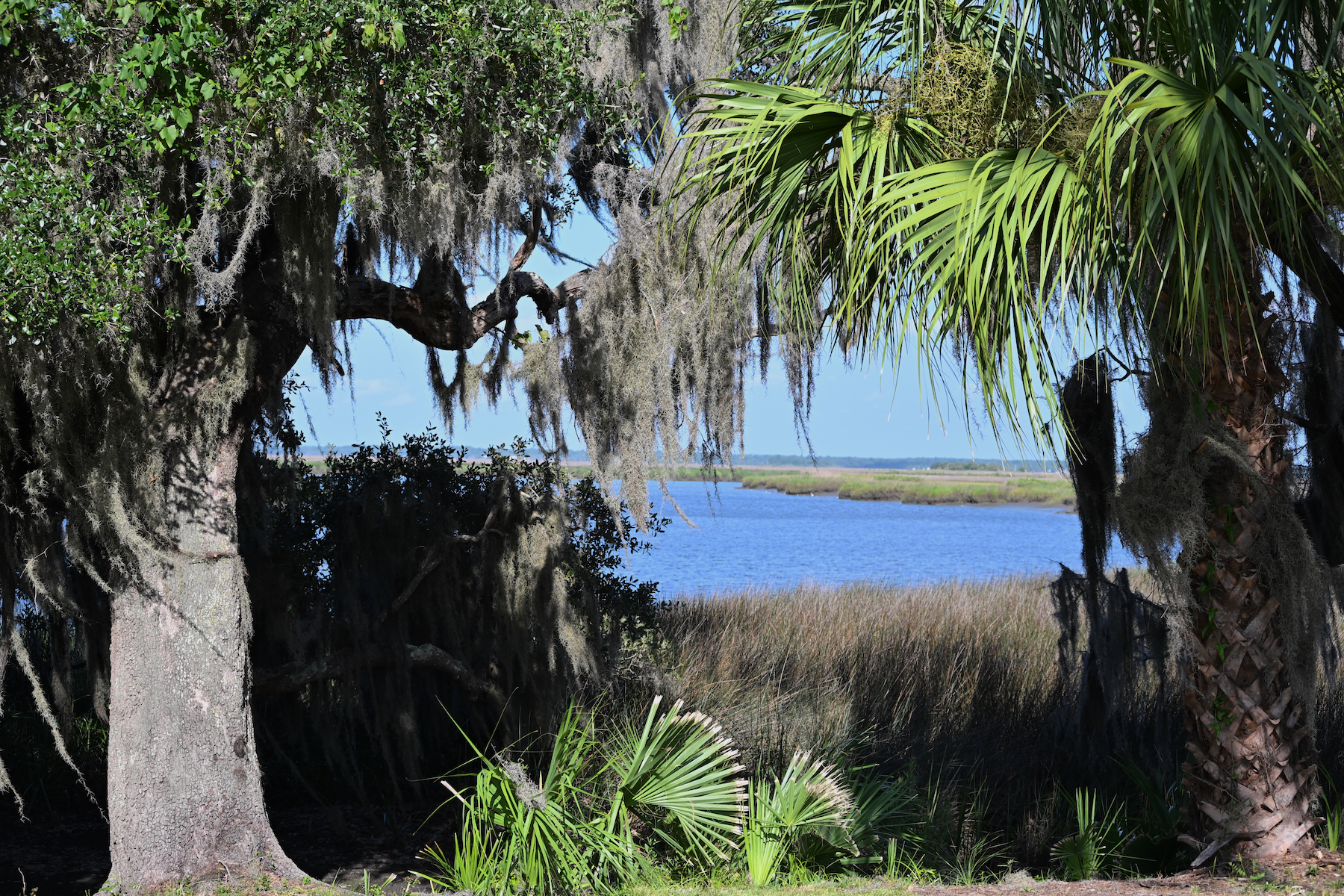 Paysage près de Fort Frederica
