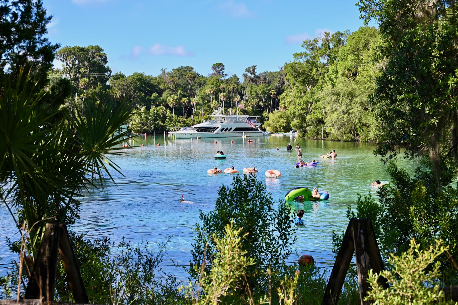 Silver Glen Springs : une oasis turquoise au cœur de la forêt d'Ocala (Floride)