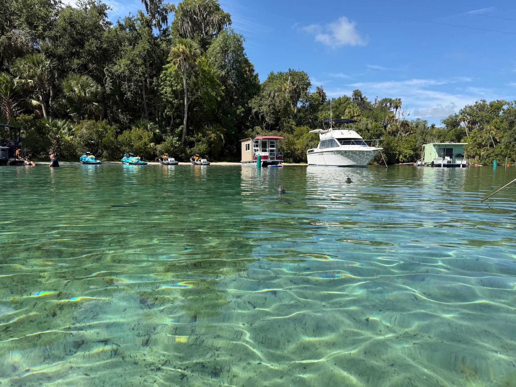 Silver Glen Springs