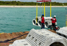 Des « récifs instantanés » pour protéger les côtes de Miami