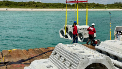 Des « récifs instantanés » pour protéger les côtes de Miami