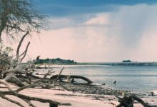 Ce qu'El Niño réserve à la Floride dans les mois qui viennent