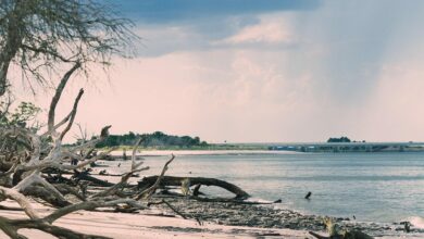 Ce qu'El Niño réserve à la Floride dans les mois qui viennent