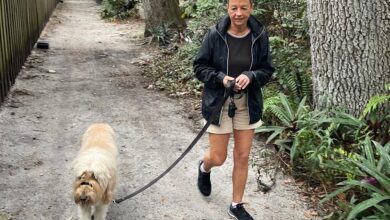 Fetch Pet Care : chiens et chats gardés à domicile dans le sud de Broward